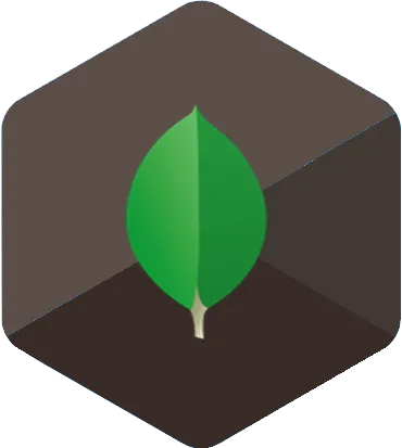 MongoDB Training Certification Course in Pune and Online MongoDB Course